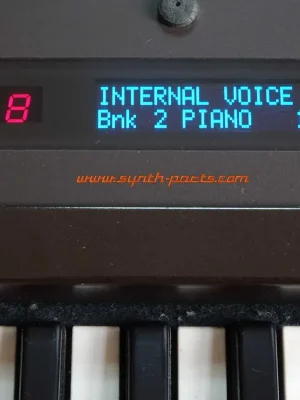 Verfügbar | Yamaha DX21 OLED Display NEU LCD Ersatz Blau